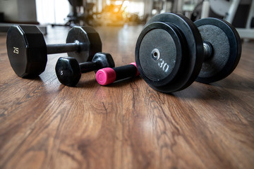 Hand weights Fitness exercise equipment dumbbell weights on wood floor in gym background.