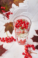 Glass of hot viburnum tea with rosemary on white wooden background, autumn maple red leaves and viburnum berries on white background. Winter. Christmas. Cold season.