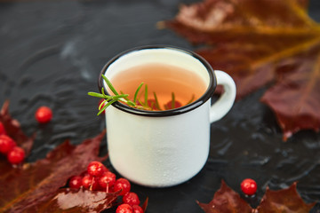 Mug or cup of hot viburnum tea with on black background, autumn maple red leaves and viburnum berries on white background. Top view. flat lay. copy space. Winter. Christmas. Cold  season.