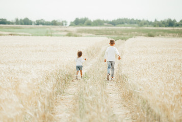 Naklejka na ściany i meble Happy children running in the wheat field in sunny day. Back view