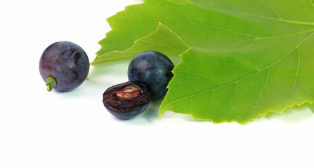 Grains de raisin noir
