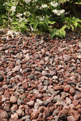 Paillage de pouzzolane d'un massif