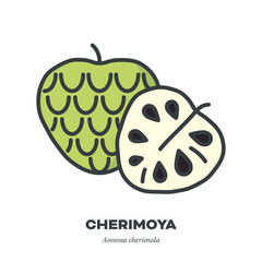 Cherimoya fruit icon, filled outline style vector