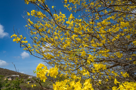    Views around the small Caribbean island of Curacao