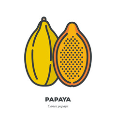 Papaya fruit icon, filled outline style vector