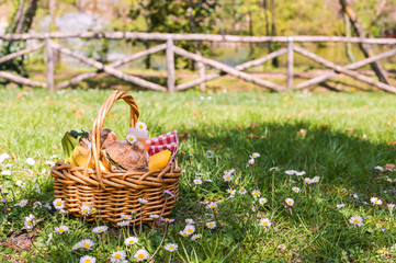 Lunch in the park on the green grass. Summer sunny day and picnic basket. Copy space.