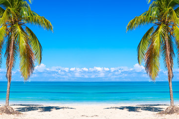 Vacation holidays background wallpaper. Palms and tropical beach in Varadero, Cuba.