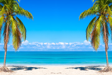 Vacation holidays background wallpaper. Palms and tropical beach in Varadero, Cuba.
