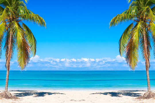 Vacation holidays background wallpaper. Palms and tropical beach in Varadero, Cuba.