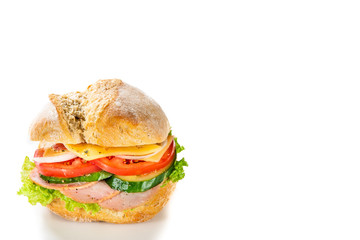 Tasty sandwich with vegetables