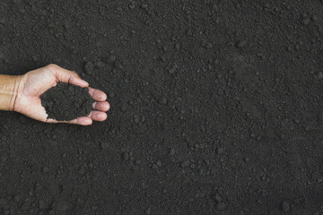 Closeup hand of person holding abundance soil for agriculture or planting peach.