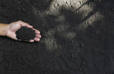 Closeup hand of person holding abundance soil for agriculture or planting peach.