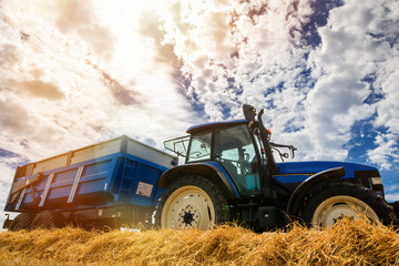 tractor and trailer during harvest