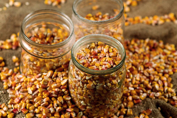 corn grain poured into glass jars