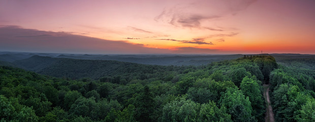 Panorama Wald
