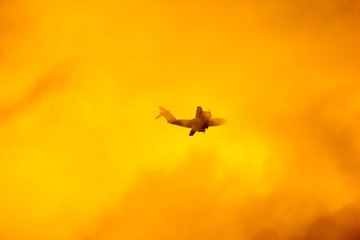 Airbus A400M Atlas