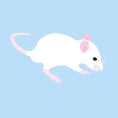 Pet Rat. Decorative rat. Domestic rat. cute Rat. cute Pet