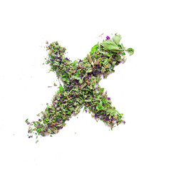 Letter x english alphabet Herbal tea from dried up