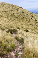 Fototapeta na wymiar Camino por el Cerro Unitorco