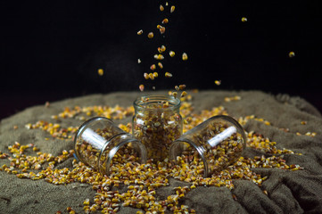 corn grain falls on glass jars
