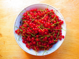 red currant