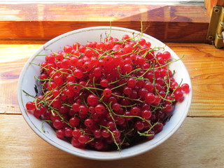 red currant