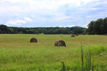 hay bales in field