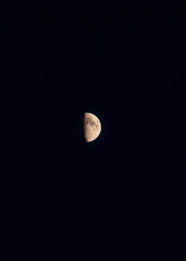 moon in the sky