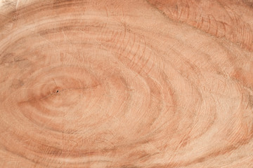 Old wood background. The texture of mahogany. 
