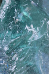 Flower and garden wildlife at summer time