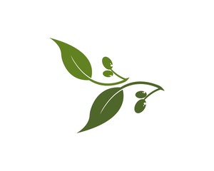 olive logo template vector design