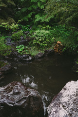 Naklejka na ściany i meble ◉Landscape of Nagaoka Tenmangu◉