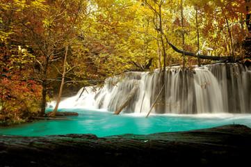 Beautiful waterfall in the autumn in the deep forest