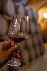 Tasting of fortified dry or sweet marsala wine in vintage wine cellar with old oak barrels in Marsala, Sicily, Italy