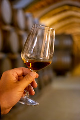 Tasting of fortified dry or sweet marsala wine in vintage wine cellar with old oak barrels in Marsala, Sicily, Italy