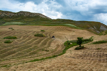 Obraz premium Landscape with pastures and wheat fields, Sicily, agriculture in Italy