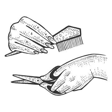 Hairdresser barber hands with scissors and comb tools sketch engraving vector illustration. Scratch board style imitation. Black and white hand drawn image.