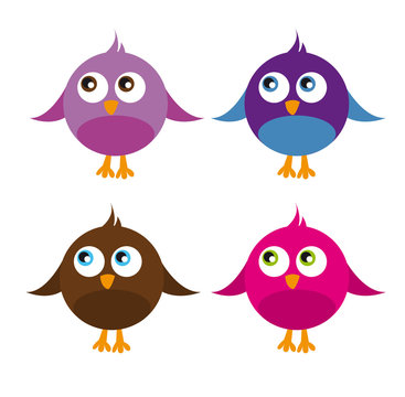 cute birds isolated over white background vector