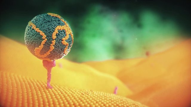 LDL Receptor, Cholesterol Management (3D Animation)