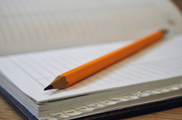 Pencil is ready for painting