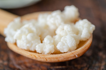 Organic probiotic milk kefir grains.