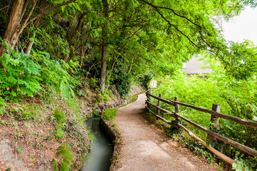 Obraz premium Algund, Waalweg, Wanderweg, Wasserversorgung, Wald, Vinschgau, Südtirol, Sommer, Italien