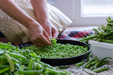 The woman is removing  from a pea pod with her fingers and putting them in a black tray on a floor
