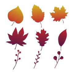 autumn leaves set