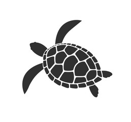 Obraz premium Logo żółwia morskiego. Na białym tle żółw na białym tle. Gad