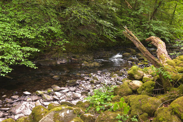 Paysage rivi&egrave;re Royaumes-Unis