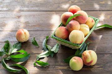 Ripe peaches with leaves