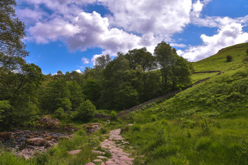 Paysage  Royaumes-Unis