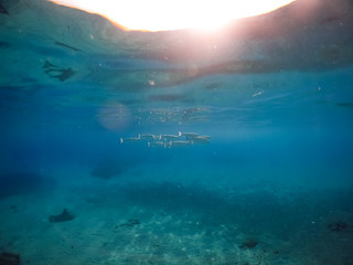    Views around the small Caribbean island of Curacao