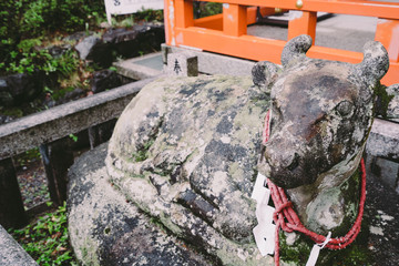 ◉Kyoto Photography◉Landscape of Nagaokakyo